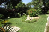 garden design - soft landscaping-algarve008